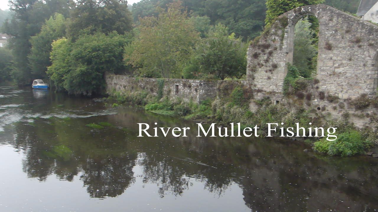 French River Mullet Fishing : Bates Fishing