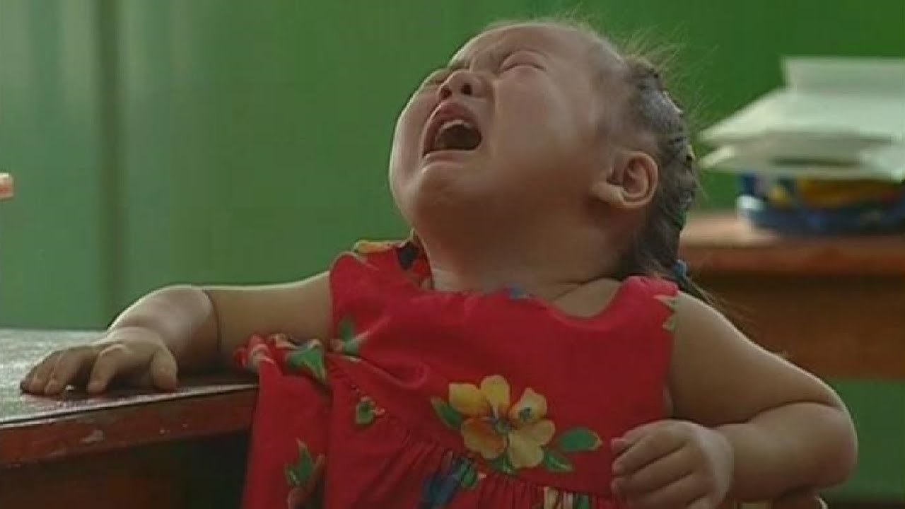 幼儿园开学的第一天，这些小家伙，远比我们想象中懂的更多