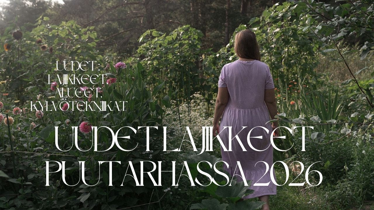 Uudet lajikkeet puutarhaan 2026 – mitä testaan tänä vuonna?