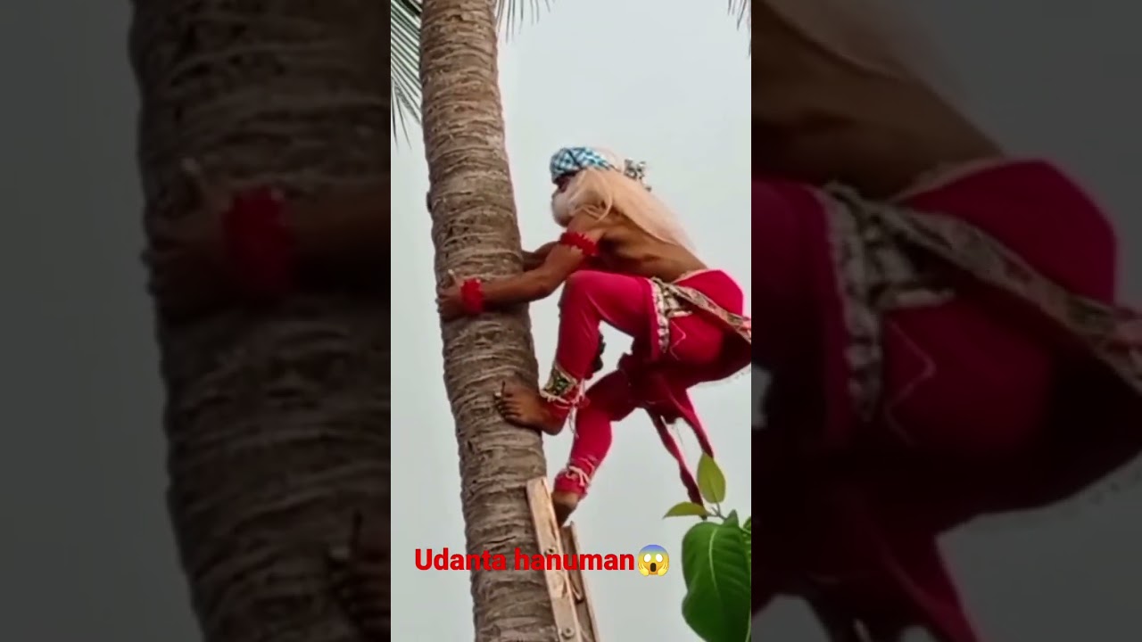 Udanta hanuman | odia gitinatya |
