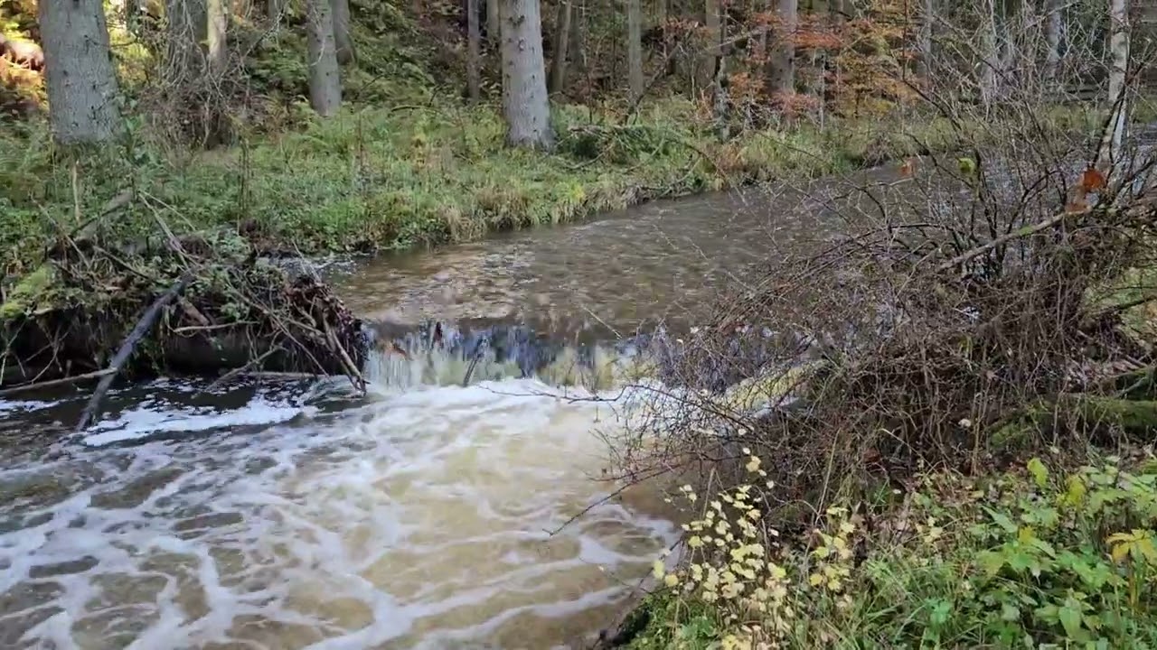 Rötenbachschlucht Hochschwarzwald  30 10 2025