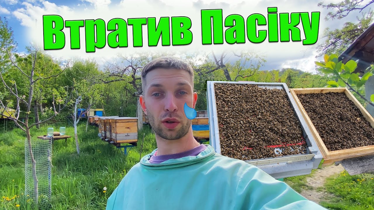 Втратив ПАСІКУ😭😭😭