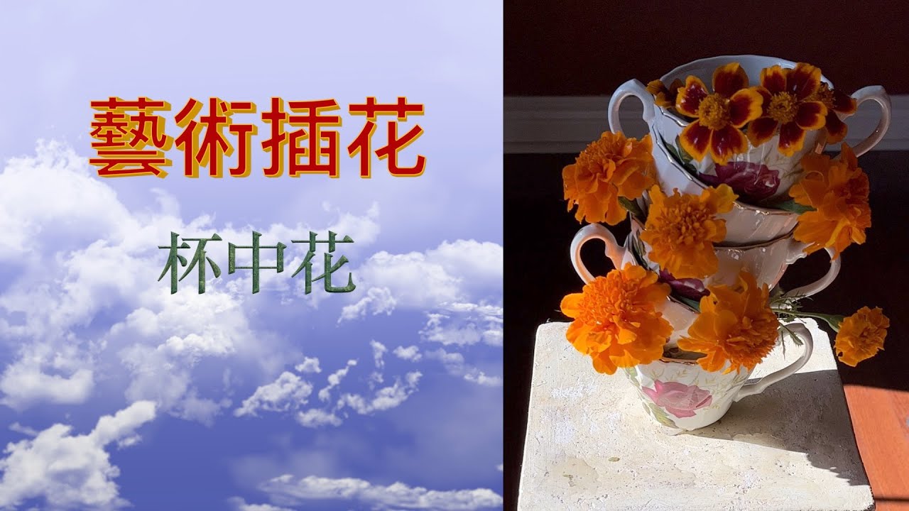 藝術插花｜浪漫杯中花