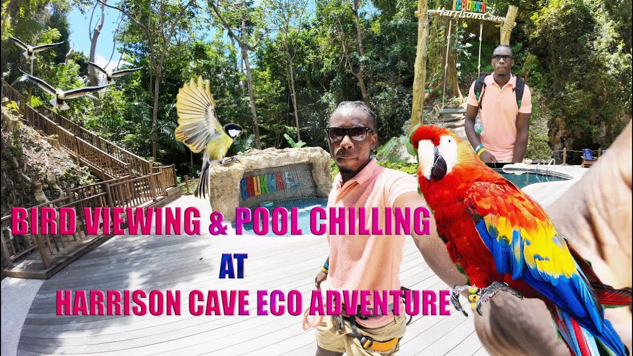 Bird Viewing And Pool Side Chilling At Harrison Cave Eco Adventure Park