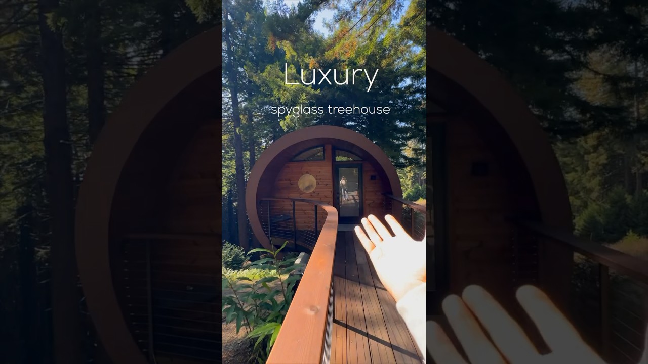 A Luxury Treehouse Air BNB | Stay with me #treehouse #airbnb #luxury #tinyhouse