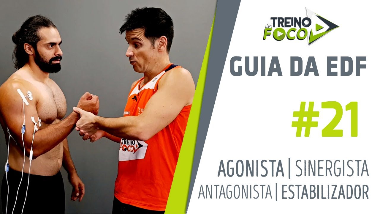 Músculo Agonista / Antagonista / Sinergista / Estabilizador - Bases da Musculação - Guia da EDF #21