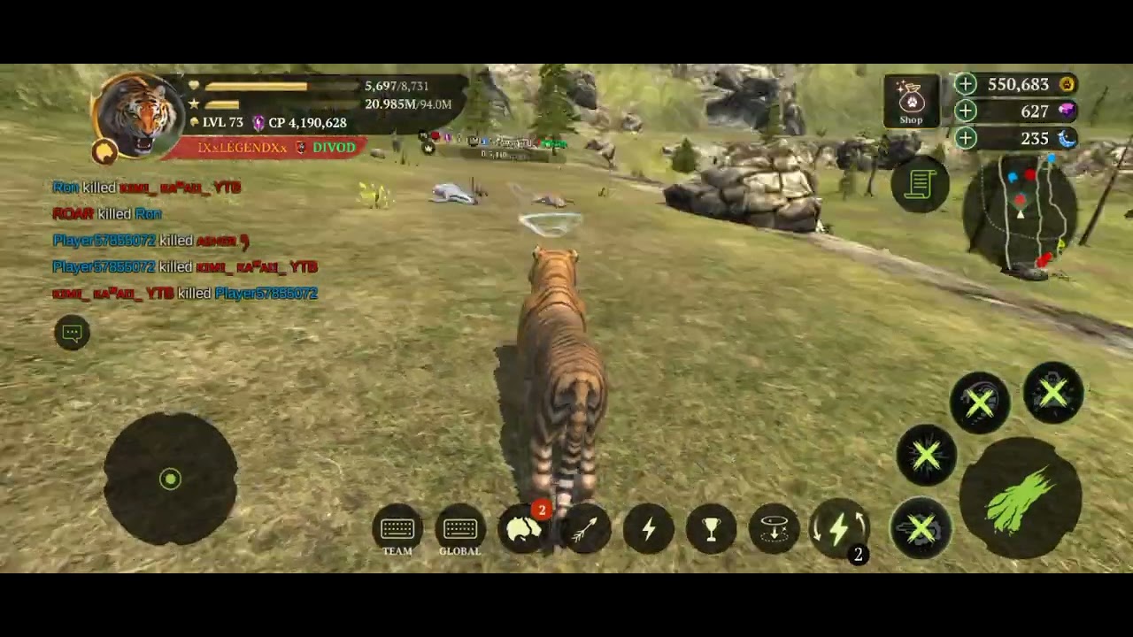 The tiger pvp