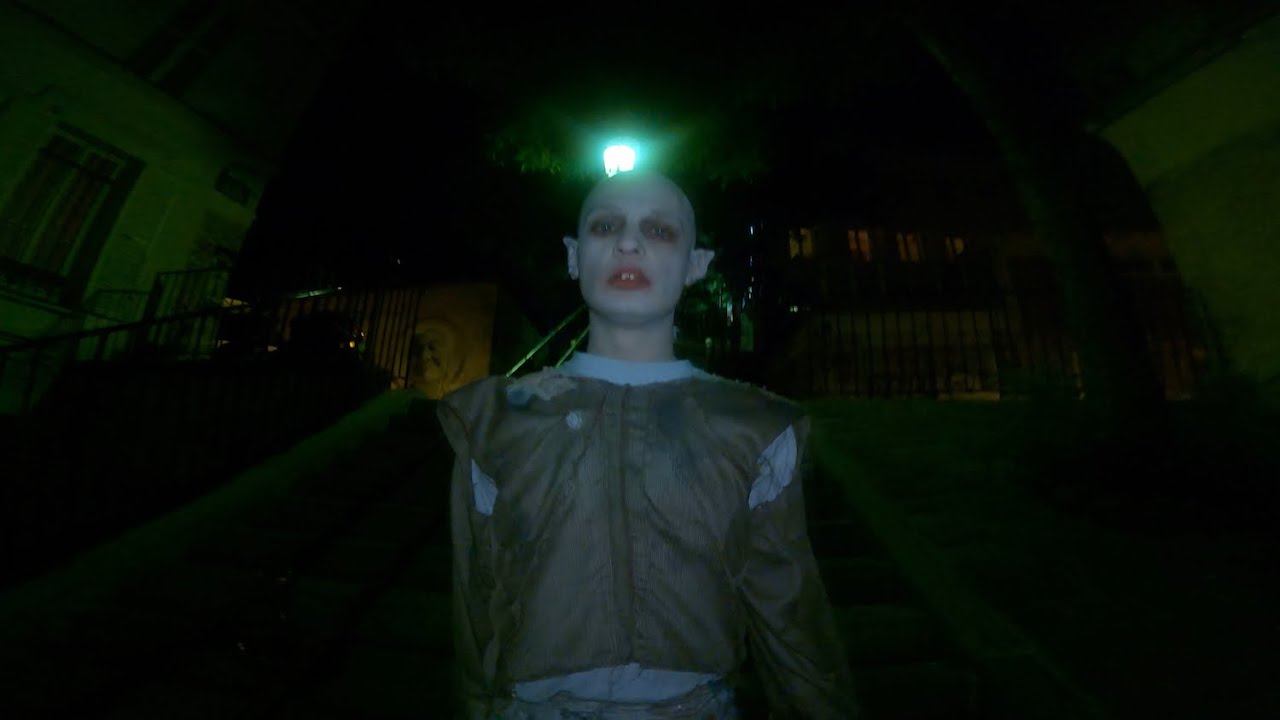 Loverman - Into The Night (official video by Daisy Ray & Loverman)