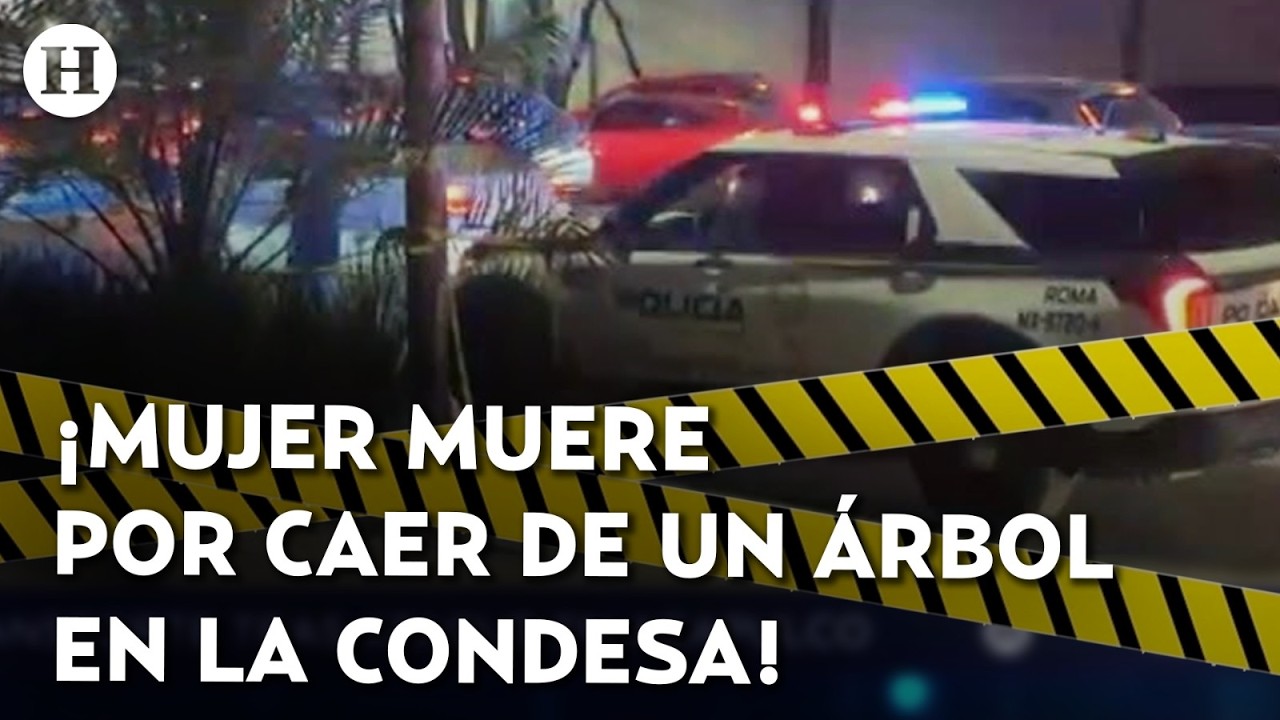 ¡Discutió con su pareja y murió por fuerte caída! Mujer cae 8 metros de un árbol en CDMX