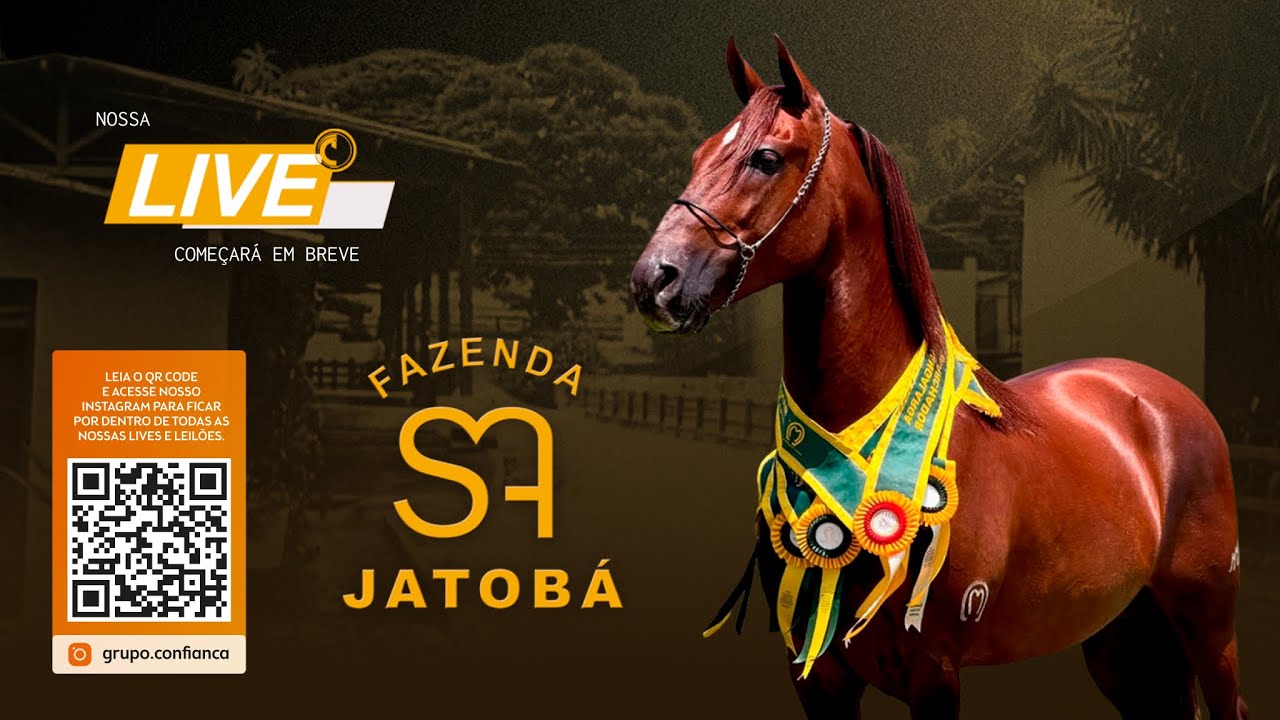 Live de Criação - Fazenda Jatobá