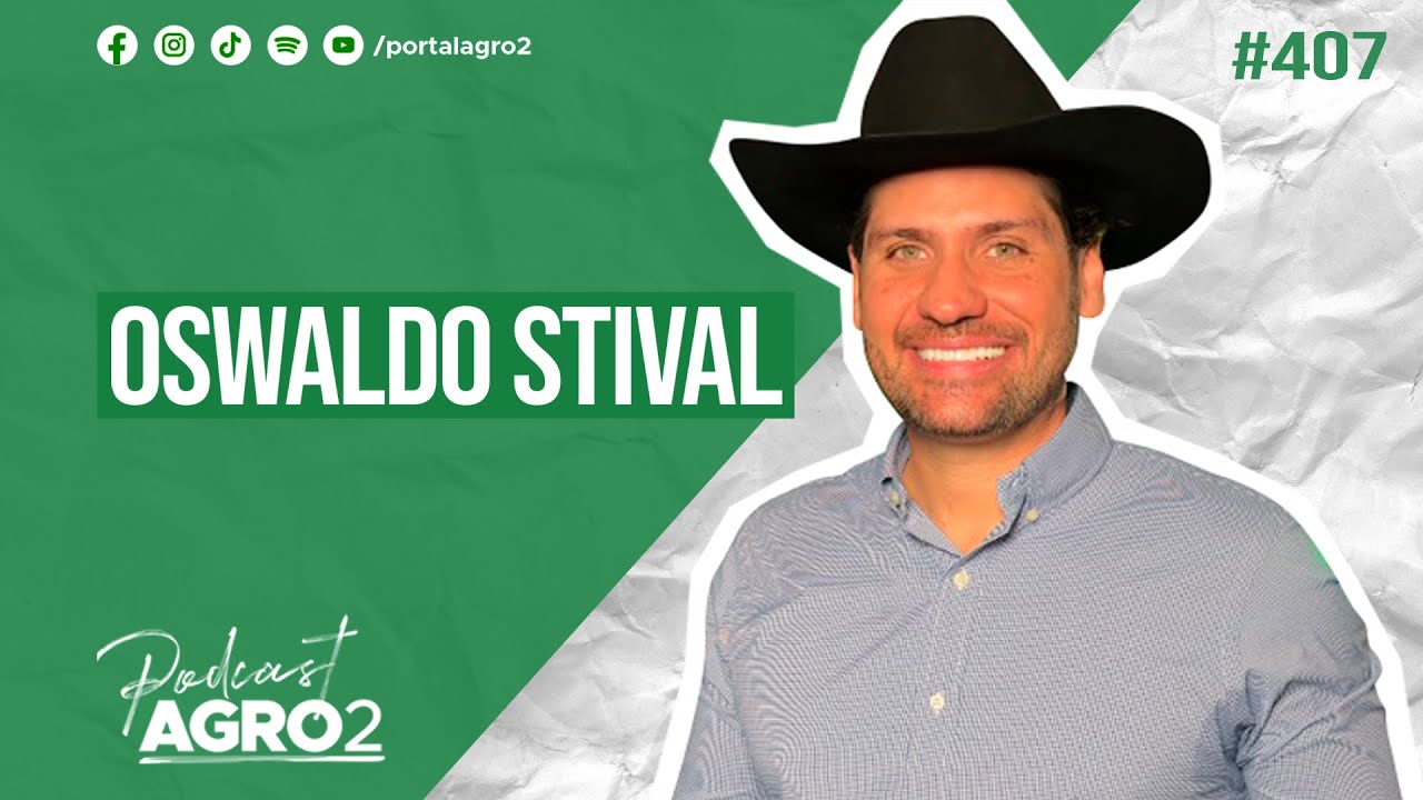 Tifton 85: pastagem de alta produ&ccedil;&atilde;o e sustentabilidade na pecu&aacute;ria #407