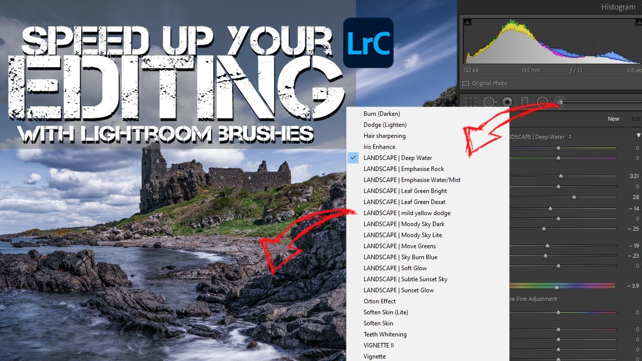 Lightroom Brushes to Speed up Your Editing