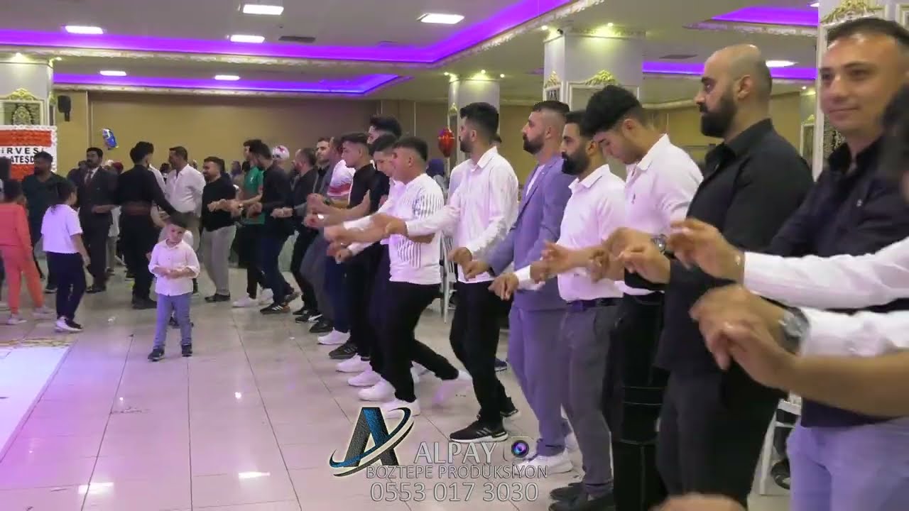 BARAN BERiVAN yeni süper Canlı uzun çok uzun Halaylar