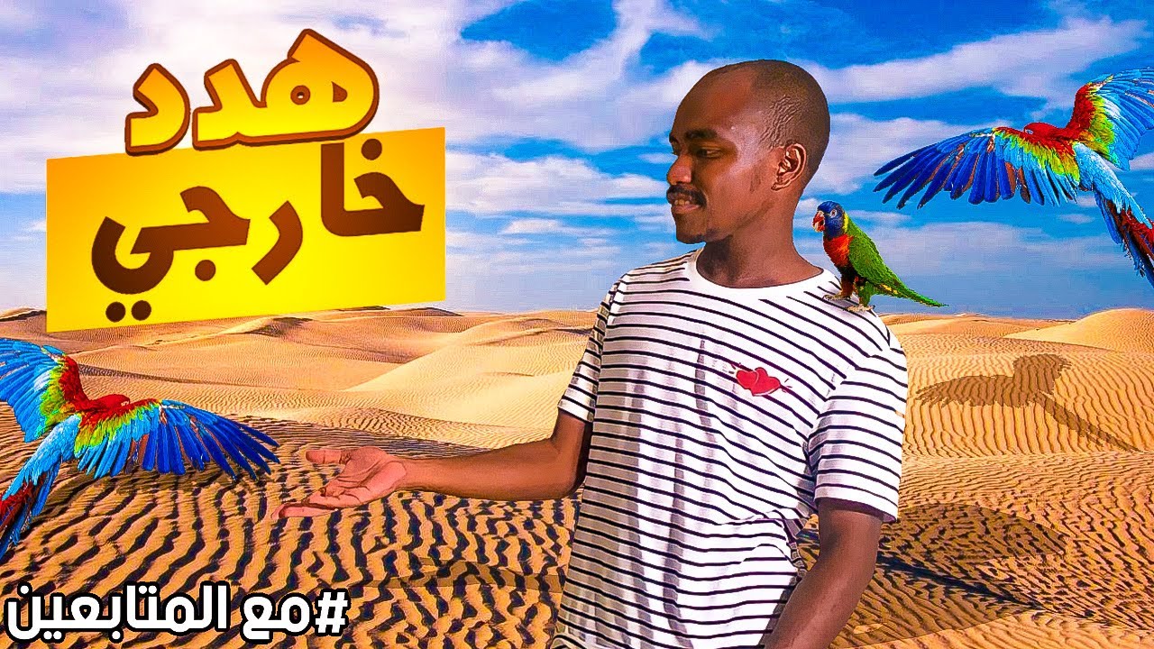مقاطع المتابعين في الهدد الخارجي#1