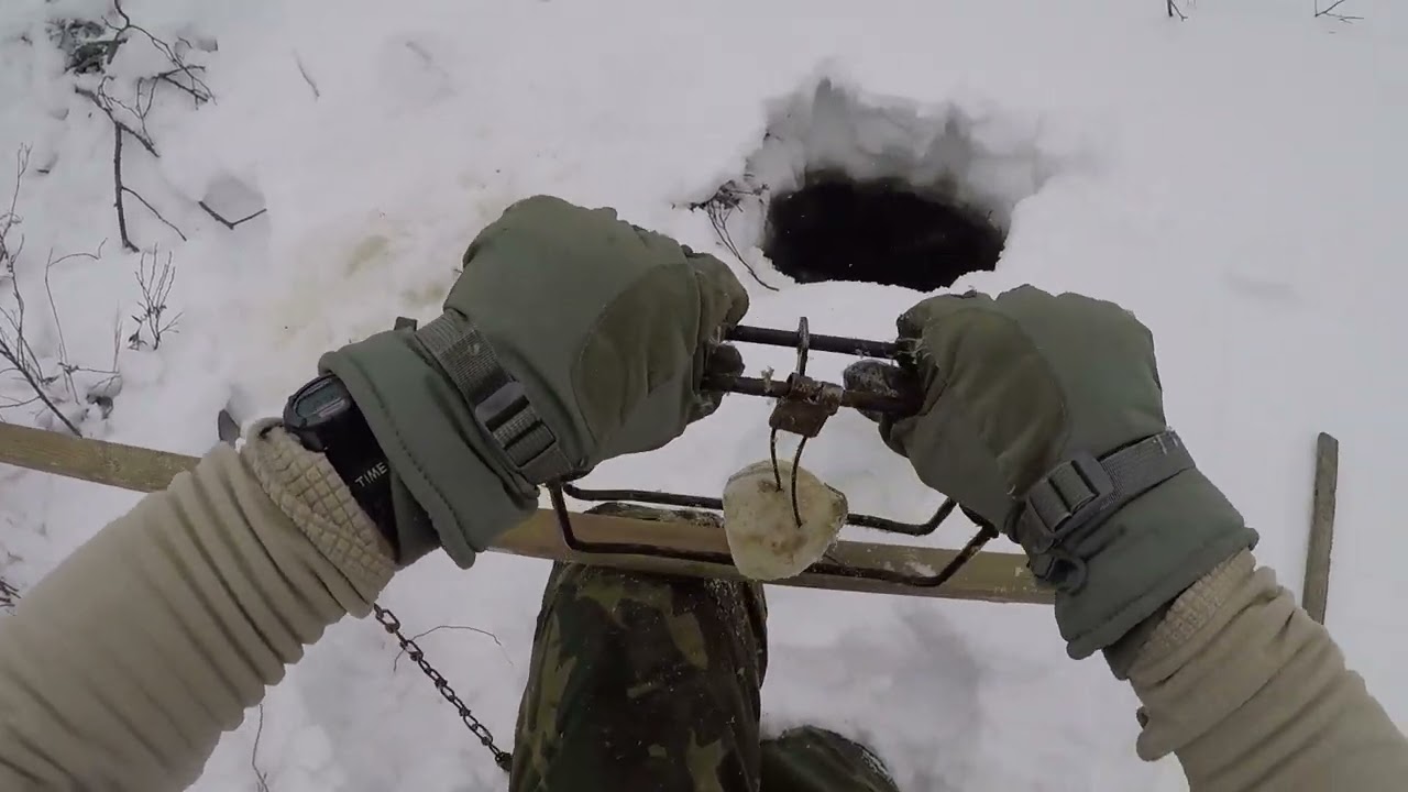 1 minute Set - Beaver Trapping Under the Ice - 330 Bodygrip Traps