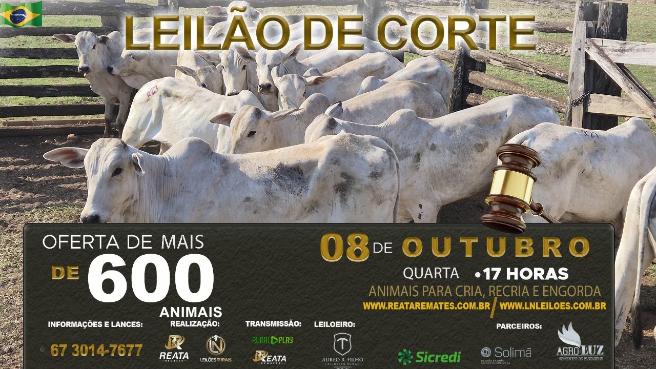 LEILÃO VIRTUAL REATA REMATES & LN LEILÕES - CAMPO GRANDE/MS - RURAL PLAY