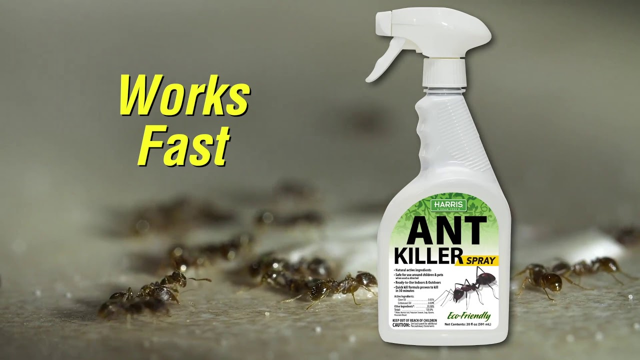 Ant Killer Spray | PF Harris
