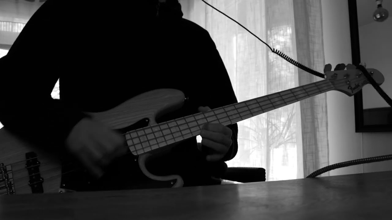 Swans - In the Eyes of Nature (Bass cover)