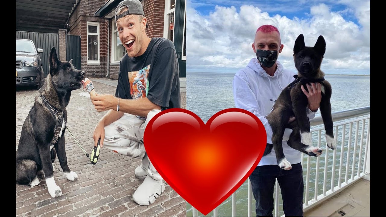 Malino de hond (beste momenten van Malino met Milan Knol en EnzoKnol)