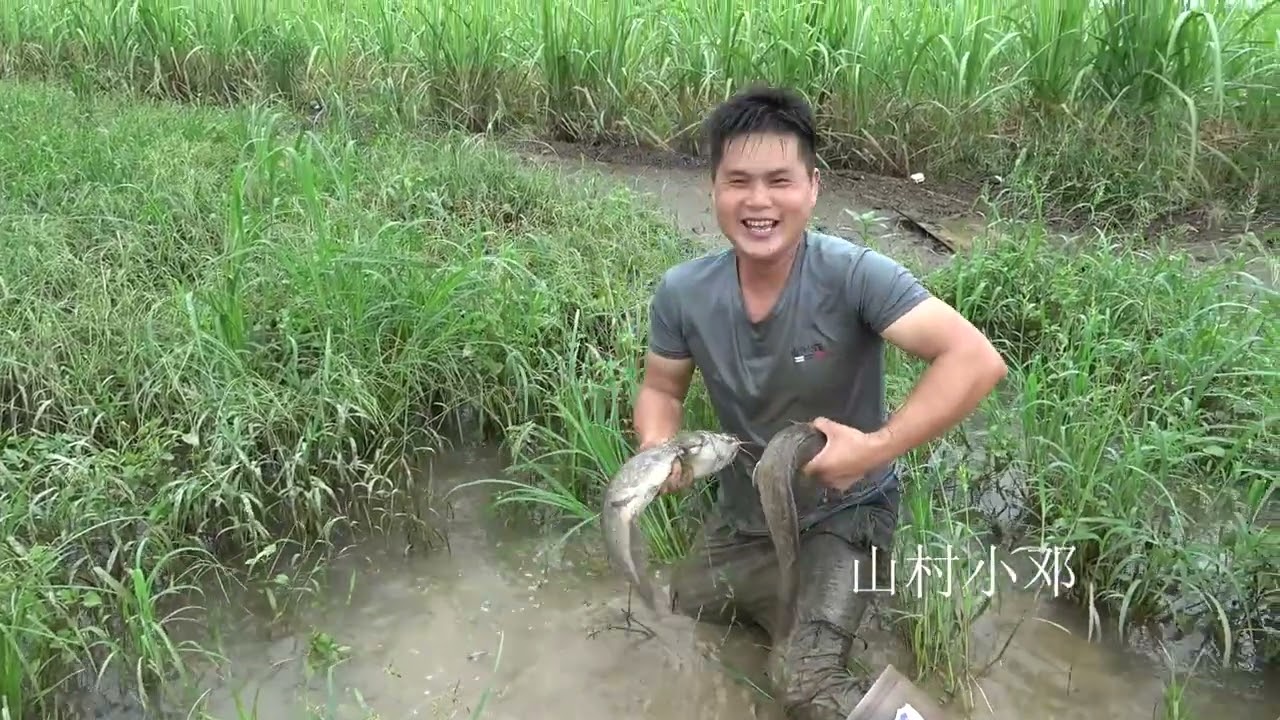 一场洪水冲塌几十个鱼塘，小伙用大抄网抓鱼，这次收获太惊喜了