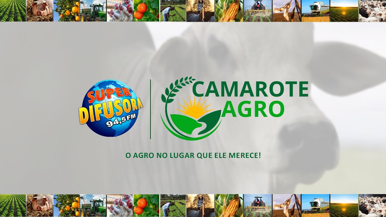 Camarote Agro de 16/03/2026