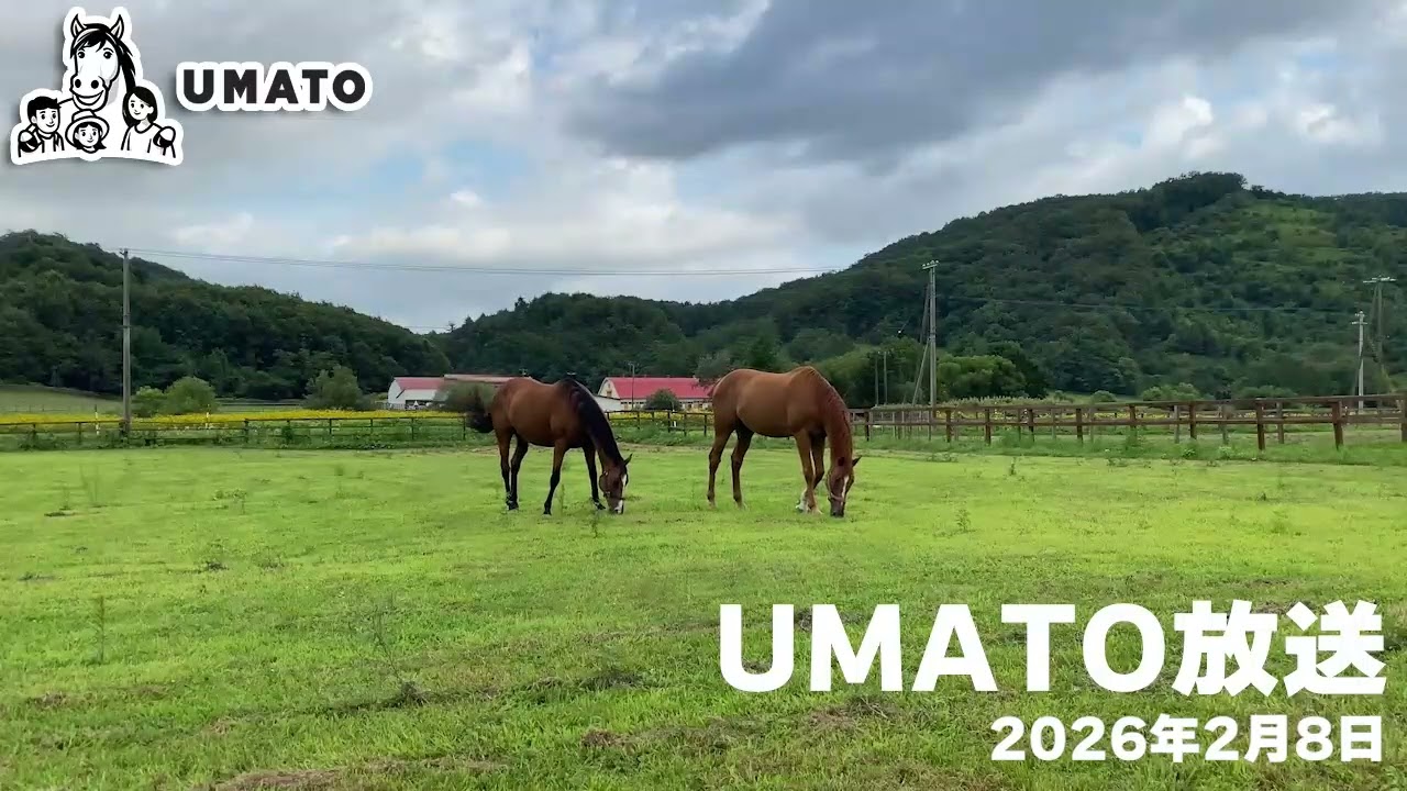 UMATO放送 2026年2月8日