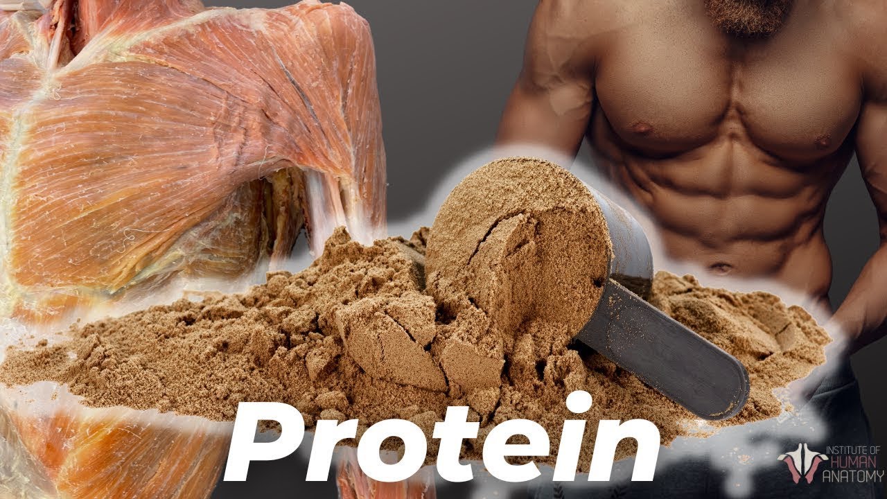 How Much Protein You Really Need (According to Science)