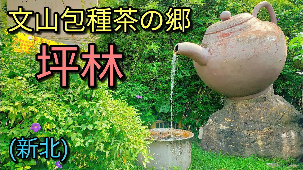 【台湾旅行】坪林は文山包種茶の郷です。坪林老街、坪林舊橋、坪林吊橋、茶畑と自然豊かで魅力満載、おすすめです