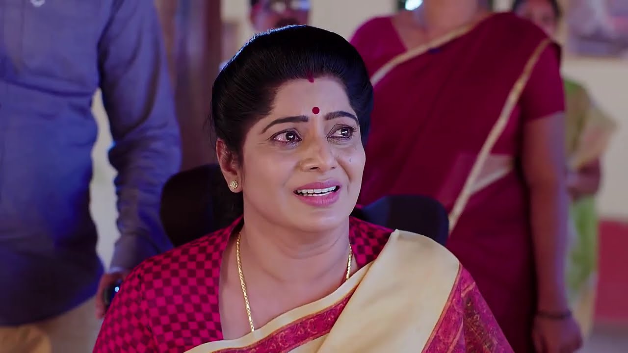 Naag Bhairavi - Full Ep - 64 - Nagarjuna, Bhairavi, Nagulu - And TV