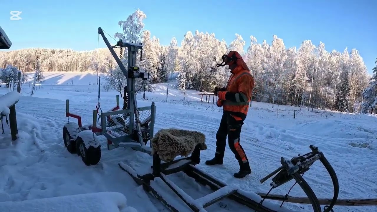 Suomenhevonen vinssillä tukkia.