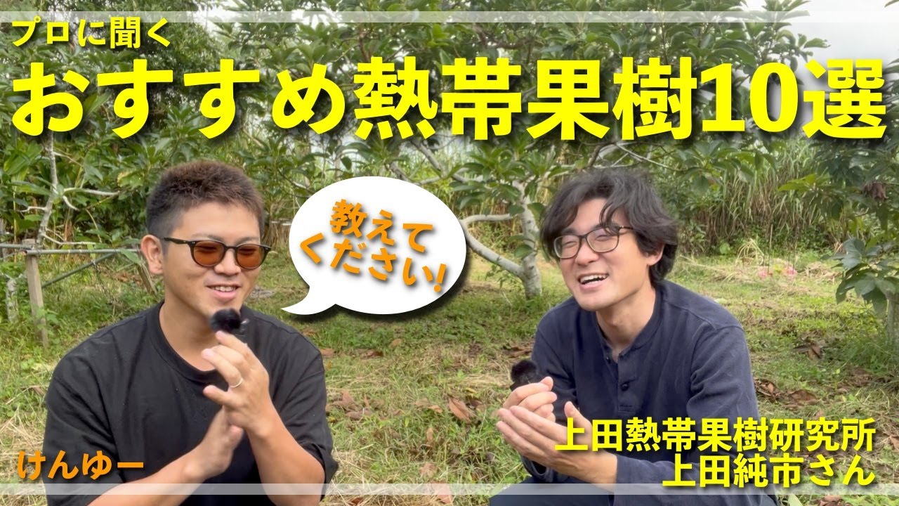 【大注目！】おすすめ熱帯果樹１０選！上田熱帯果樹研究所の純市さんに聞いてみた！