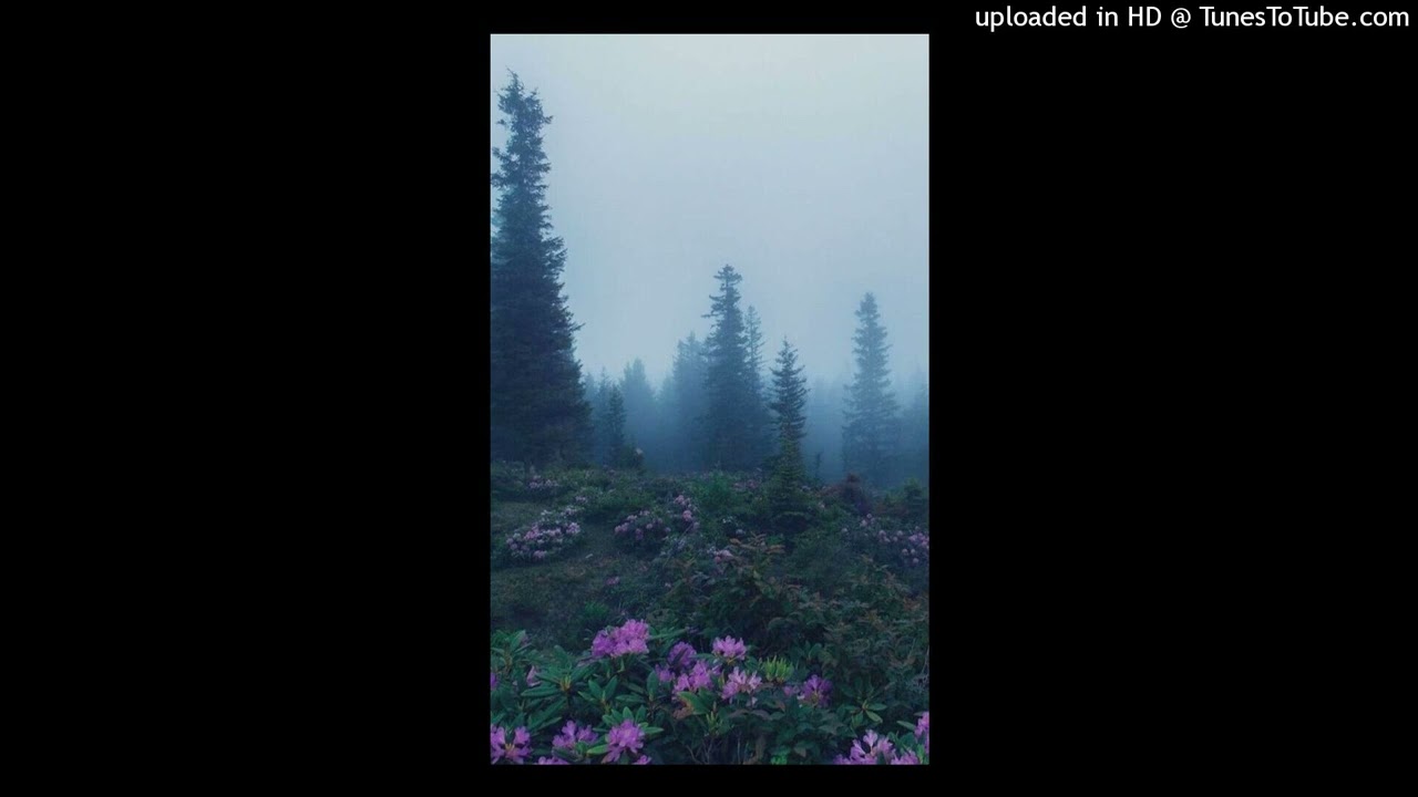 FREE. destroy lonely + izaya tiji + ambient type beat 