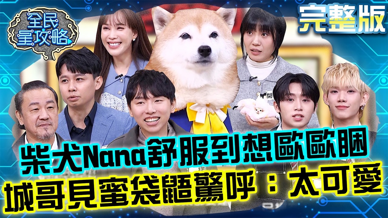 柴犬Nana舒服到想歐歐睏！城哥靠近超萌蜜袋鼯驚呼：這太可愛了！20260211 曾國城 劉涵竹 萌寵交流俱樂部 完整版 EP1416【全民星攻略】