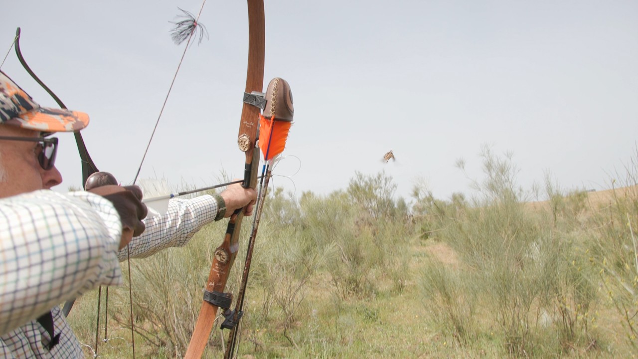 La caza con arco, precisi&oacute;n y cercan&iacute;a con la pieza | Cazadores de Lances