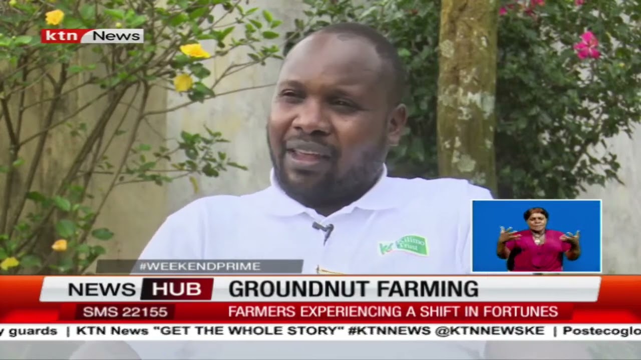 Groundnut Farming Training Signals a Change in Fortune for Farmers in Meru