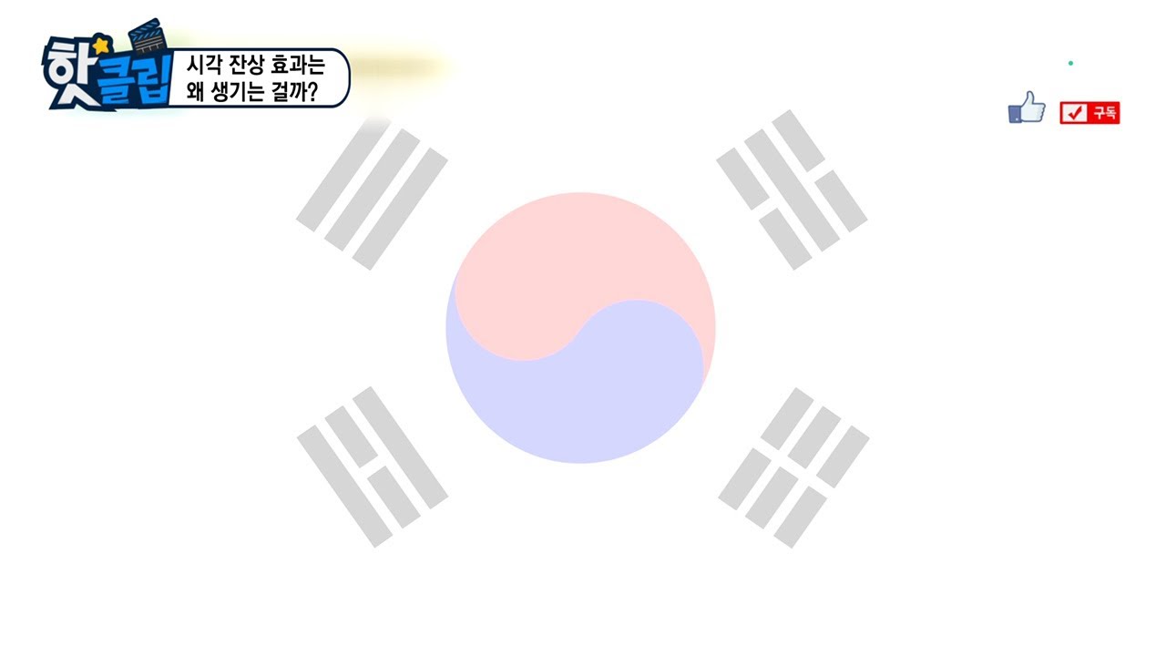 [핫클립] 시각 잔상 효과는 왜 생기는 걸까 / YTN 사이언스