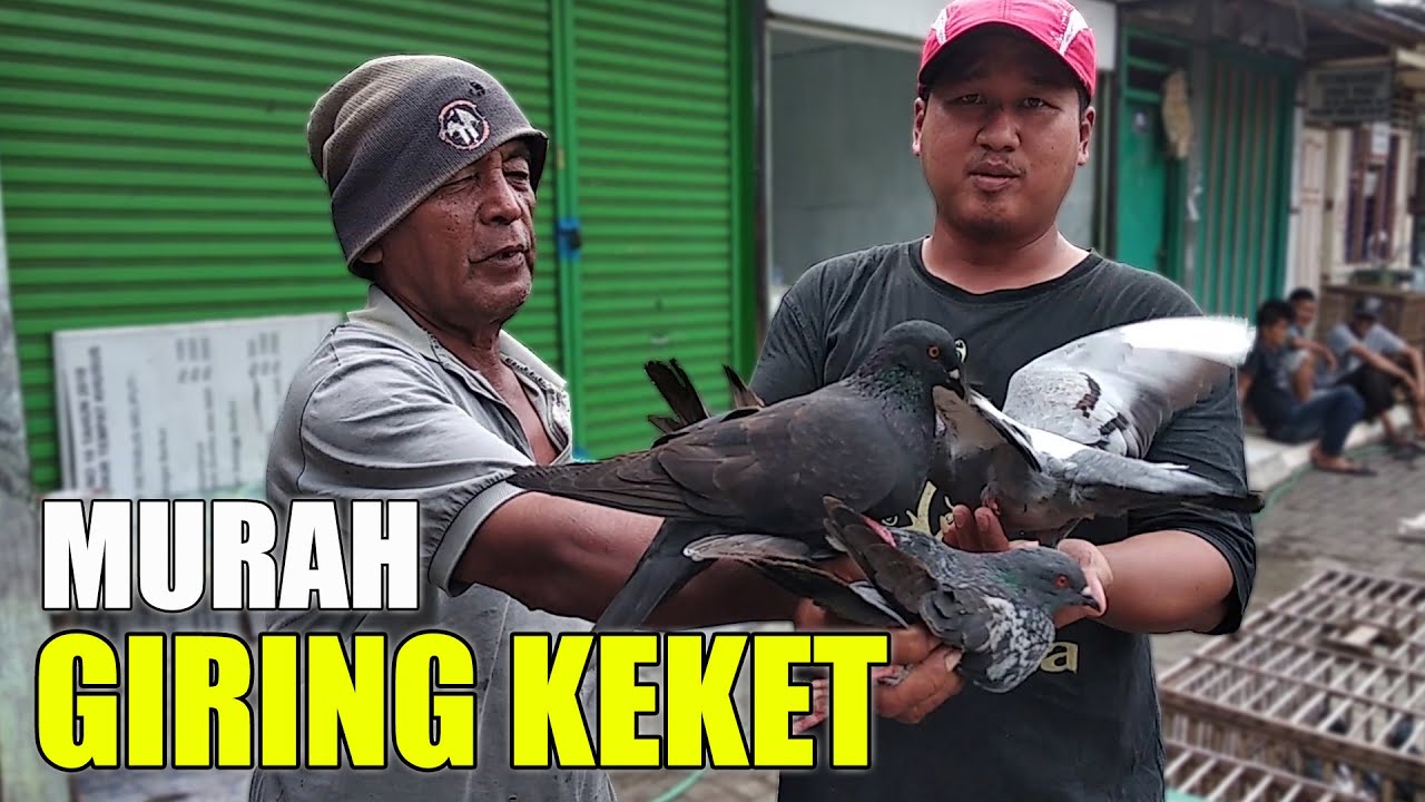 GREBEK PASAR BURUNG MERPATI PASAR GEDE CILACAP