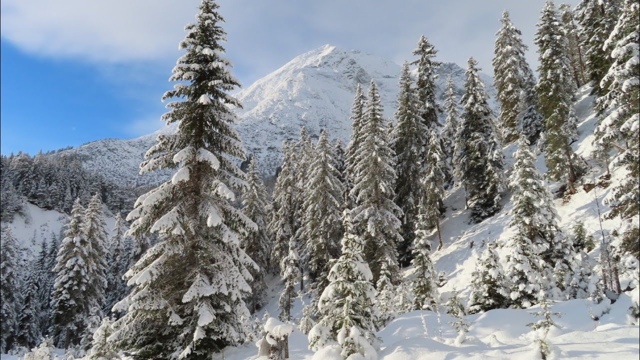 Winter in the Alps | Sledding in Leutasch