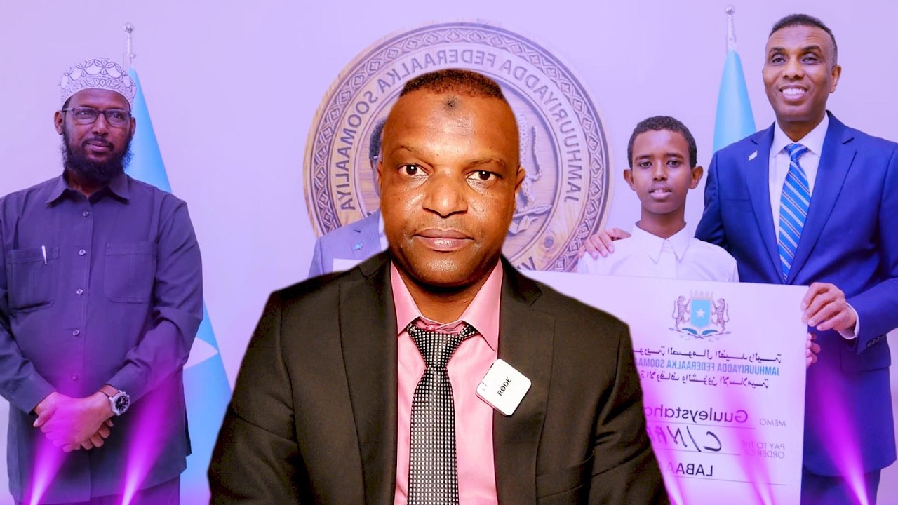 SHEEGA DEE (10071)