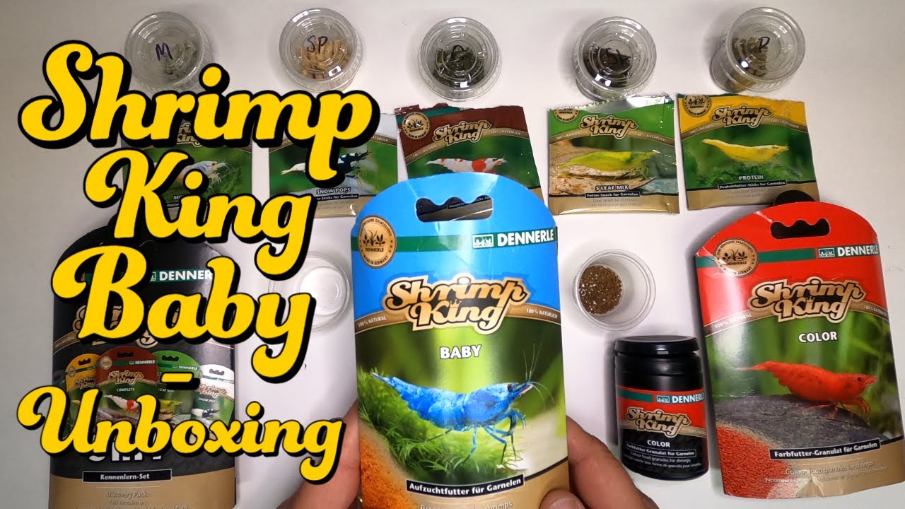 Shrimp King Baby By Dennerle Review and unboxing - PSA Review 008