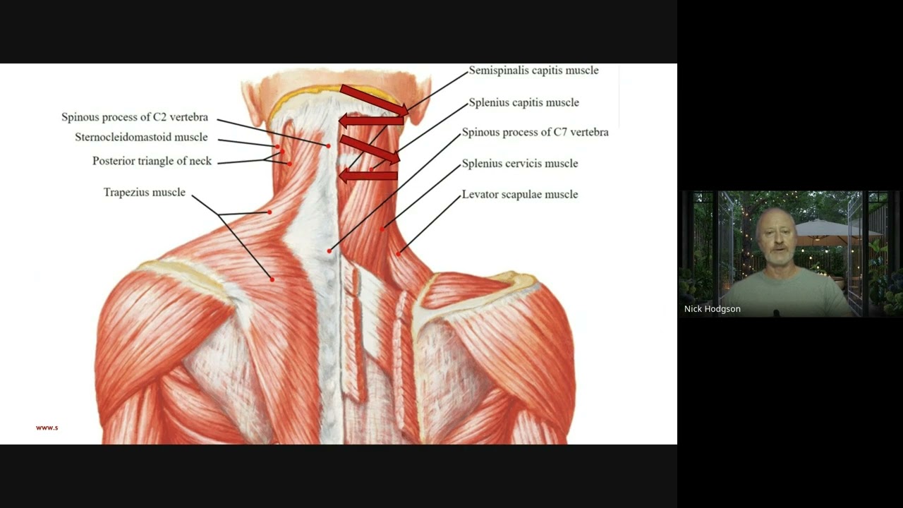 Myofascial Percussion Therapy Instructions using the 3dEnergy Gun