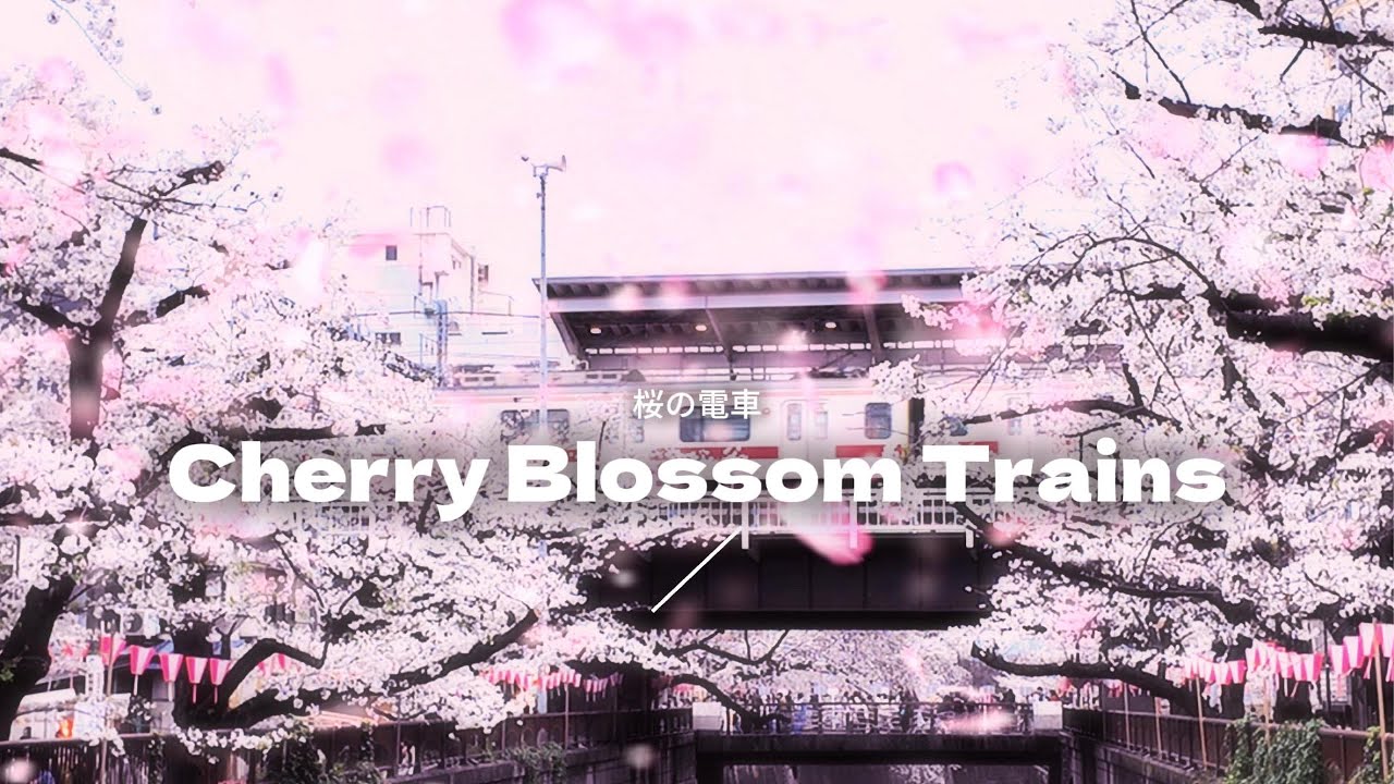 Cherry Blossom Trains in Tokyo, Japan