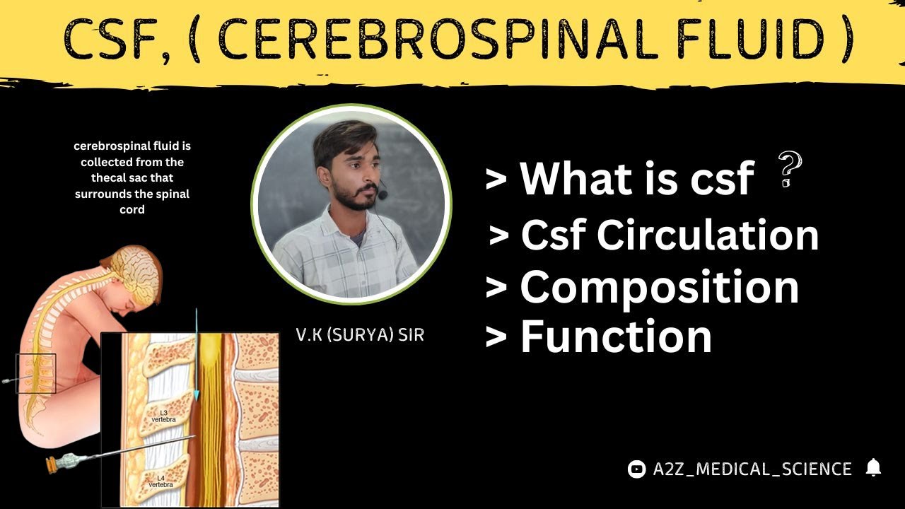 What is CSF? | Cerebrospinal Fluid Explained Simply #pathology #csf #paramedicalcourses #anatomy