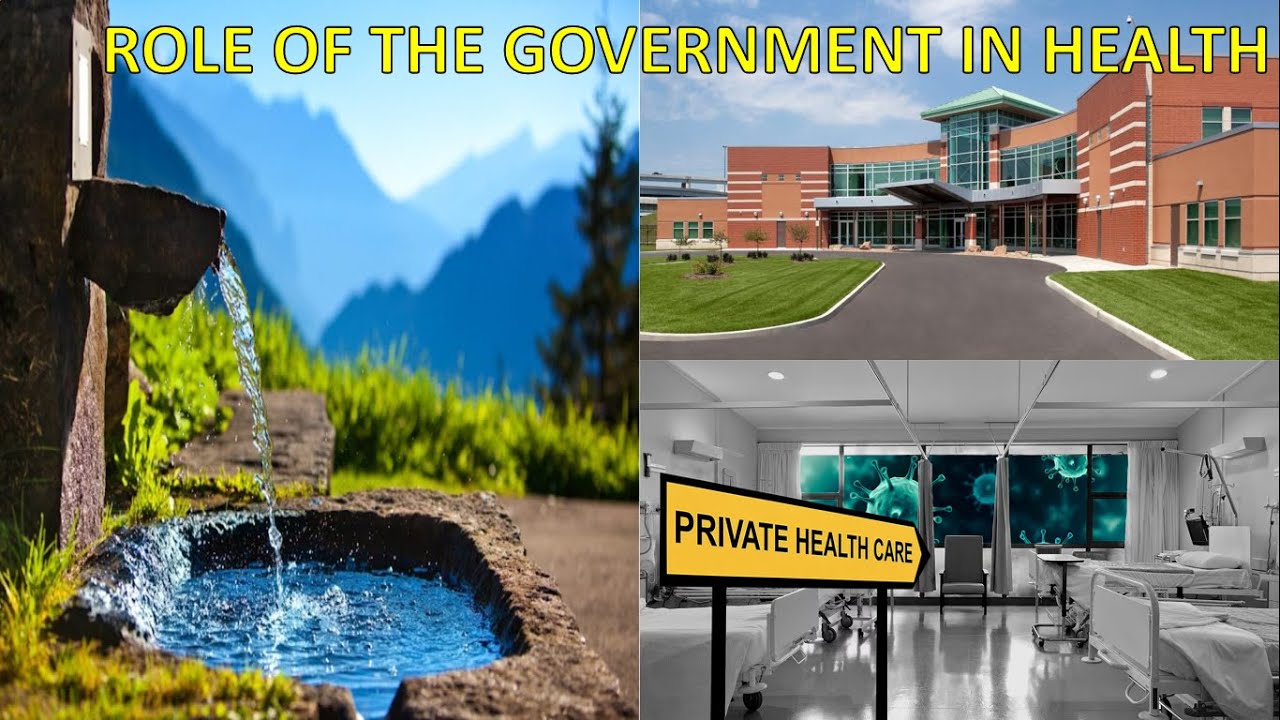 Role of the government in health 7 class civics chapter 2 animated video in hindi  cbse