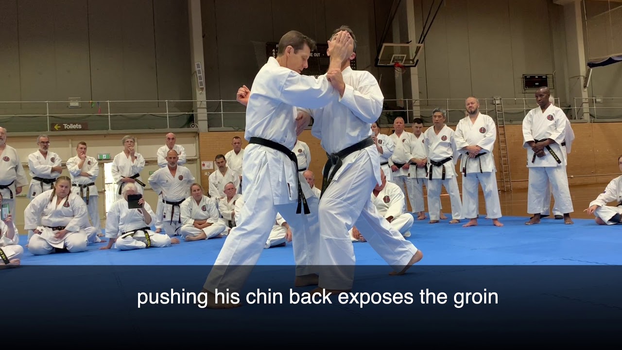 Taigyoku Kata: Count 9 Bunkai