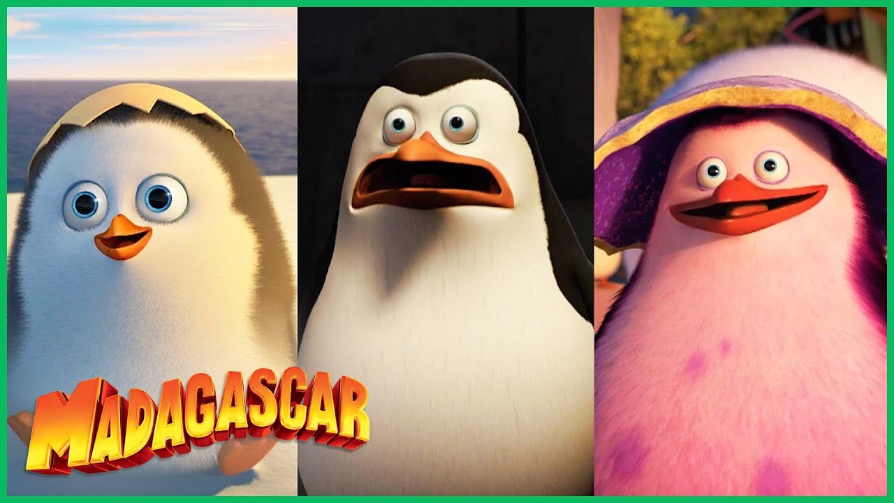 A história do Recruta 🐧 | DreamWorks Madagascar em Português