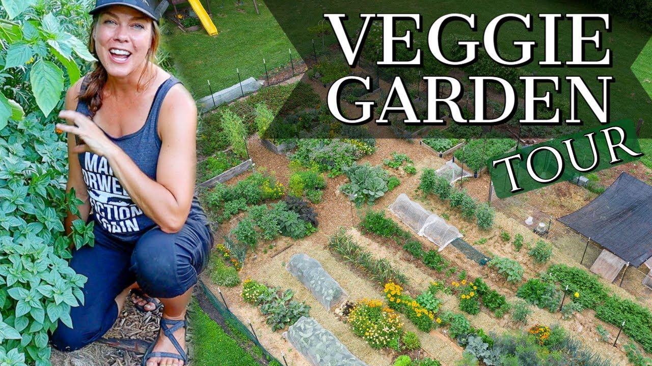 Late-June Vegetable Garden Tour Zone 6
