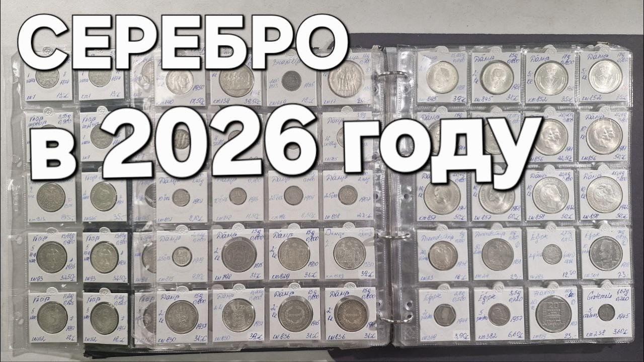 Охота на серебро началась раньше обычного #шкоб 🧡🧡🧡