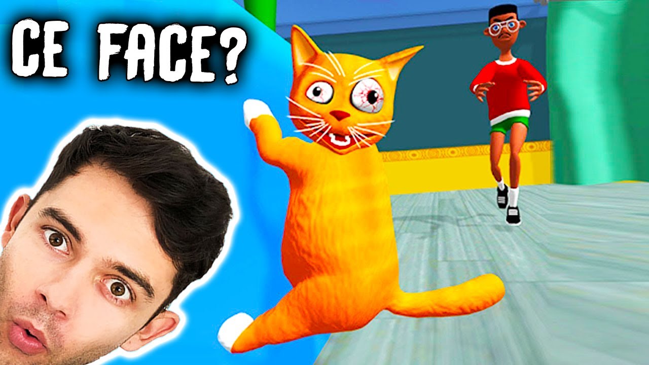 VIATA Unei PISICI ?? E Nebuna ?