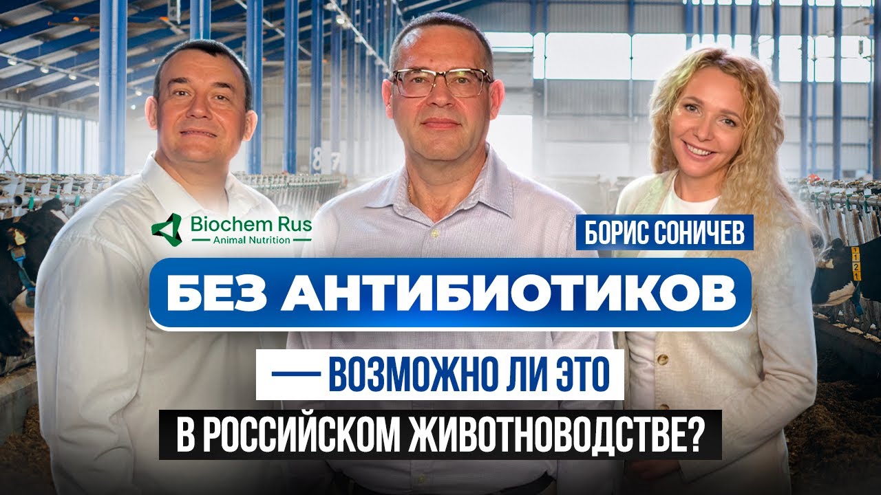 Безантибиотическое животноводство. Можно ли производить безопасное мясо и молоко без антибиотиков?